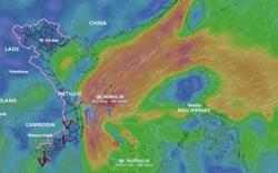 Chủ động ứng phó bão số 10