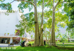 Buôn Ma Thuột - Kết nối và phát triển không gian xanh