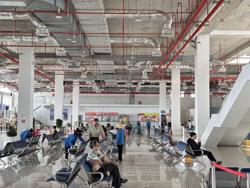 Xe đò, tàu hỏa, máy bay vào chặng đua Tết