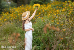 Hò hẹn với những mùa hoa dại