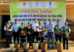 Nhiều hoạt động xây dựng mô hình nông lâm nghiệp và du lịch cộng đồng