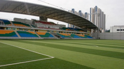 Tuyển Việt Nam và vấn đề… sân cỏ