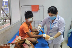 Đến Tết lại lo… pháo nổ