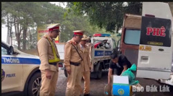 Phát hiện đối tượng vận chuyển trái phép 3 cá thể nghi cầy hương