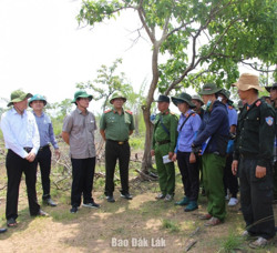 Xử lý nhiều trường hợp xâm hại rừng