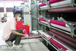 Hằng năm phấn đấu tăng thêm 5% số người lao động được khám bệnh nghề nghiệp