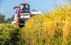 Gỡ rào cản thu hút đầu tư vào nông nghiệp