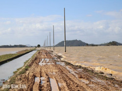 Nỗi lo an toàn đê bao mùa vụ mới