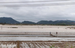 Huyện Krông Pắc: Ngập lụt gây thiệt hại hơn 5,2 tỷ đồng