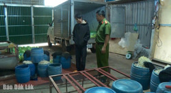 Bất an với giá đỗ ngâm hoá chất