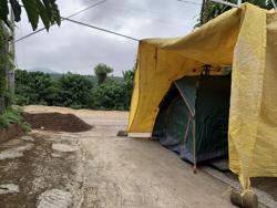 Giá cà phê hôm nay 30-12: Chuyện lạ mùa cà phê 2024-2025