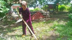 Tuổi thượng thọ vẫn dẻo dai lao động