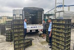 Tháng cao điểm chống buôn lậu trước Tết Nguyên Đán Ất Tỵ 2025