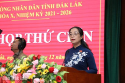 Khai mạc Kỳ họp thứ Chín, HĐND tỉnh khóa X