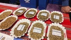 Giá cà phê hôm nay 5-12: Bật tăng trong bất ngờ