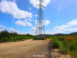 Sớm giải quyết vướng mắc về giải phóng mặt bằng Dự án đường Hồ Chí Minh đoạn tránh phía đông TP. Buôn Ma Thuột