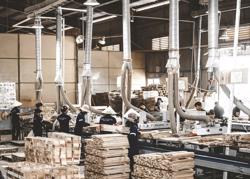 Xuất khẩu xanh là yêu cầu "sống còn"