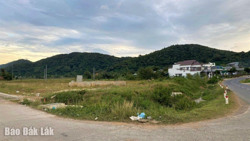 Miễn, giảm, gia hạn 1.007 tỷ đồng tiền thuế, tiền thuê đất