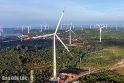 Tạo động lực cho tăng trưởng kinh tế