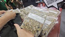 Giá cà phê hôm nay 7-12: Tăng mạnh trong tuần "biến động như tàu lượn"