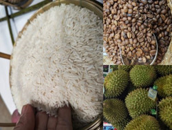 Sầu riêng, cà phê... tiếp tục trúng giá