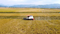 Có những "đồng bằng" trên cao nguyên