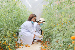 Hành trình nông nghiệp số