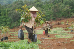 Sản xuất thích ứng biến đổi khí hậu ngày càng "sát sườn" với nông dân