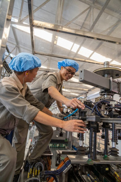 Dấu ấn từ chương trình phục hồi, phát triển kinh tế - xã hội