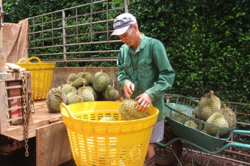 Trả lời kiến nghị của cử tri trước và sau Kỳ họp thứ 6, Quốc hội khóa XV