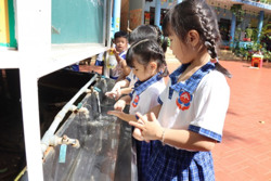 Ngăn ngừa thủy đậu lây lan diện rộng: Cần sự chủ động