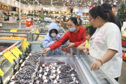 Tổng mức bán lẻ hàng hóa và doanh thu dịch vụ tháng 1/2024 đạt hơn 9.500 tỷ đồng