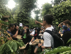 Du lịch Đắk Lắk vẫn còn nhiều dư địa để phát triển