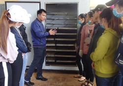 Sáng chế mới trong bảo quản hạt cà phê