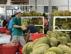 Phải giải được bài toán "vay để làm gì?"