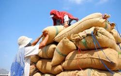 Vì sao Việt Nam cần giữ vị trí số một xuất khẩu gạo tại Philippines?