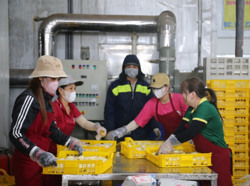 “Đổi đời” cho nông sản