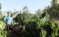 Chủ động thích ứng với mùa khô Tây Nguyên