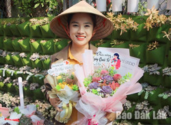 “Lên đời" cho sen đá