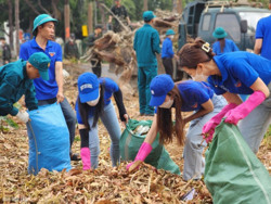 Thành lập 193 đội hình Thanh niên tình nguyện trong Tháng Thanh niên 2024
