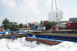 Chờ diễn biến mới của giá gạo