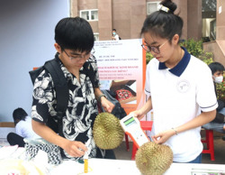 Đắk Lắk có 2 dự án lọt vào Vòng chung kết Cuộc thi SV-Startup lần thứ VI