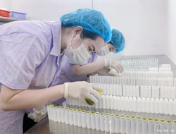 Gần 1,7 tỷ đồng hỗ trợ doanh nghiệp nhỏ và vừa năm 2024