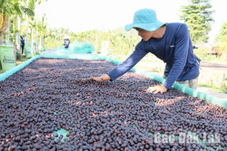 Sức bật từ giá nông sản