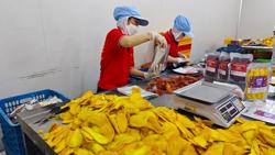 Xuất khẩu rau quả thu lợi từ thị trường gần