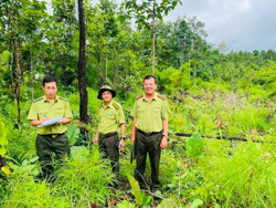 Đắk Lắk: Làm rõ nguyên nhân gần 400 ha rừng bị suy giảm
