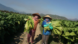 Huyện Krông Bông: Phấn đấu đến hết năm 2024 mỗi xã đạt bình quân 14,31 tiêu chí nông thôn mới