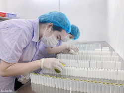 Cần giải quyết “vòng luẩn quẩn” của doanh nghiệp nhỏ và vừa