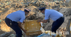 Tiêu hủy hơn 500 kg thực phẩm đông lạnh không rõ nguồn gốc, xuất xứ