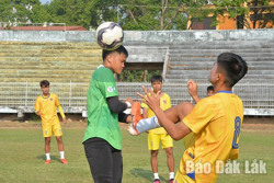 Giải mã “ẩn số” Tây Nguyên Gia Lai